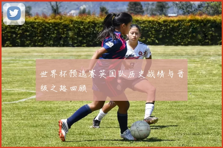 世界杯预选赛英国队历史战绩与晋级之路回顾
