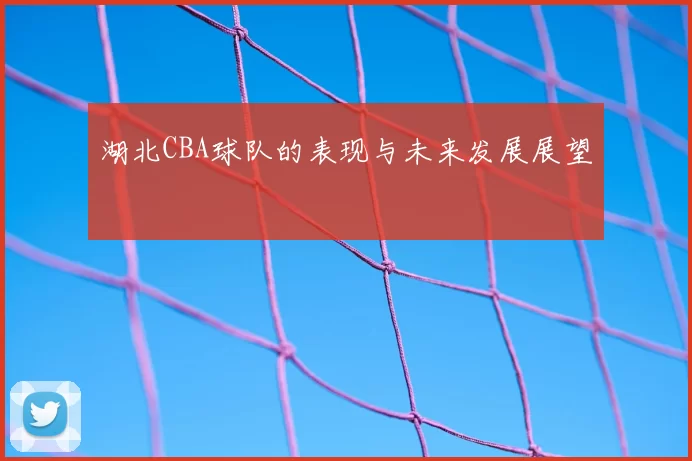 湖北CBA球队的表现与未来发展展望