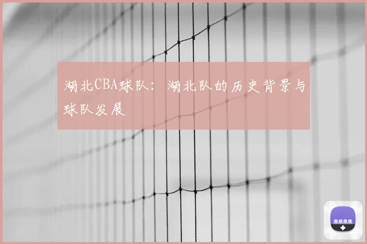 湖北CBA球队：湖北队的历史背景与球队发展