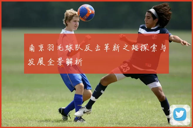 南京羽毛球队反击革新之路探索与发展全景解析