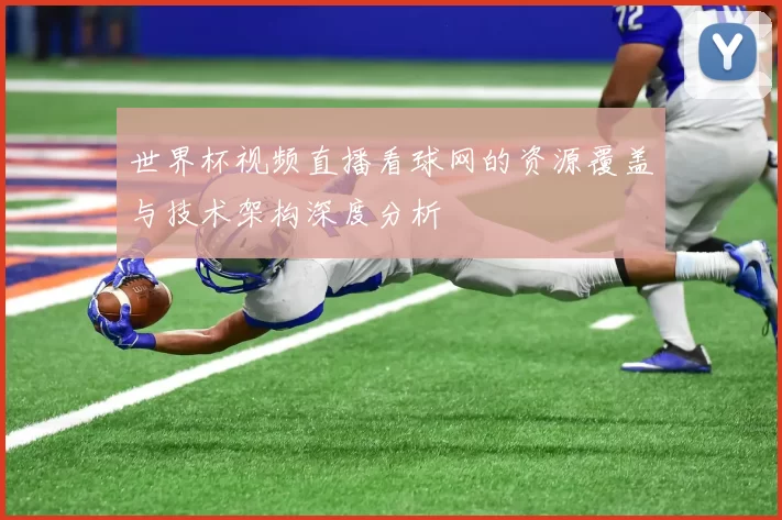 世界杯视频直播看球网的资源覆盖与技术架构深度分析