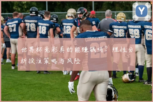 世界杯竞彩真的能赚钱吗？理性分析投注策略与风险