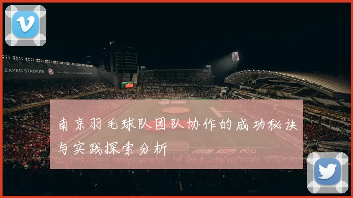 南京羽毛球队团队协作的成功秘诀与实践探索分析