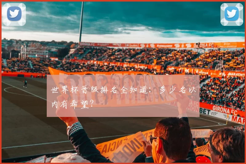 世界杯晋级排名全知道:多少名以内有希望?